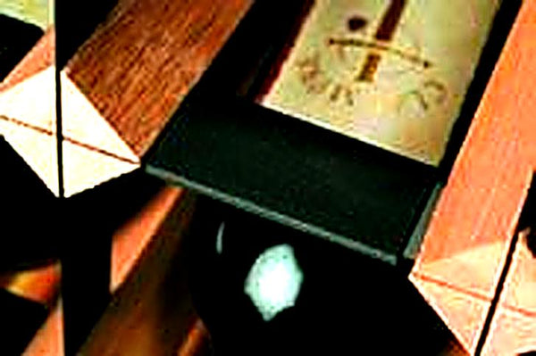 Protectex Clips Each